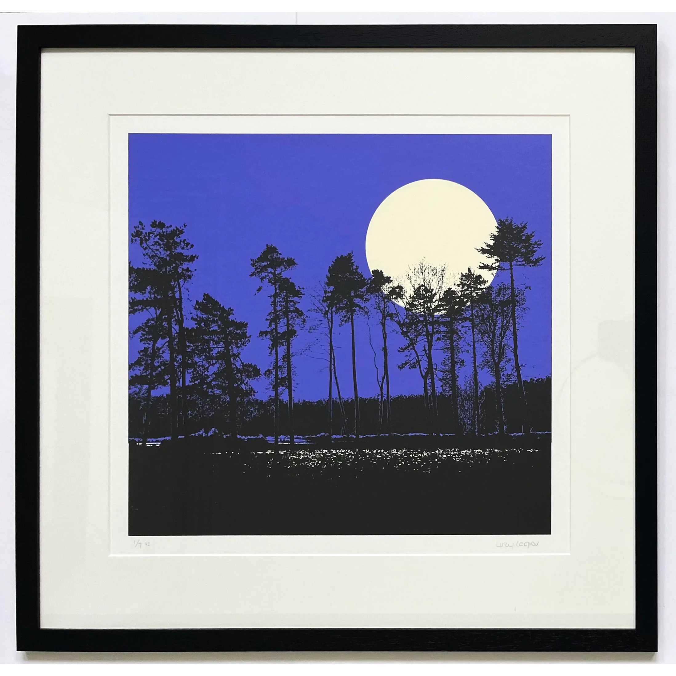 Moonlight - Image 2