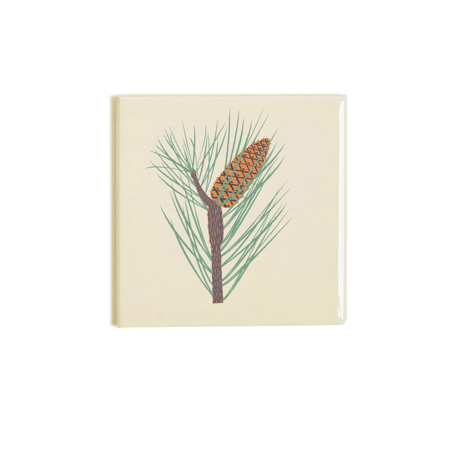 Fir Coaster